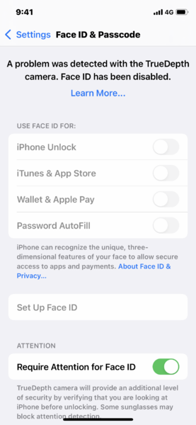 File:TrueDepth camera issue.png