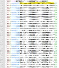Motorola SREC file. relevant Firmware marked yellow