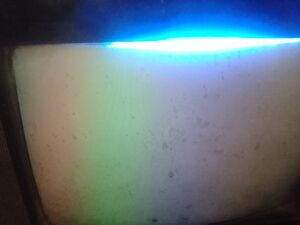 IMG 20250616 072246.jpg