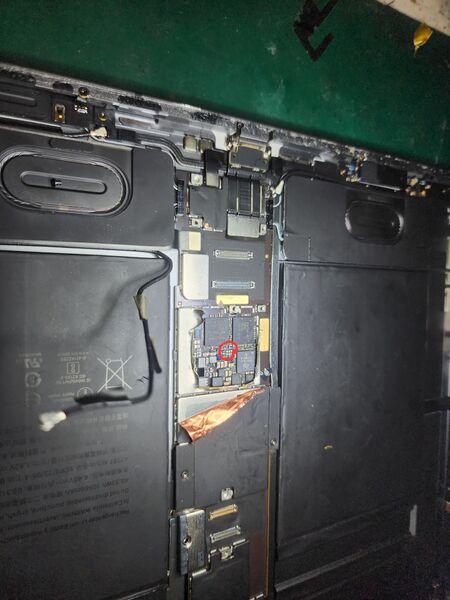 File:20240730 123854.jpg