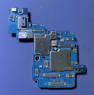 2025 06 29 08 45 IMG 8542.JPG