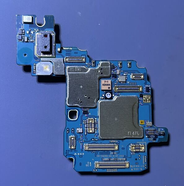 File:2025 06 29 08 45 IMG 8542.JPG