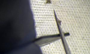 Cleaning the edge of the CPU.png