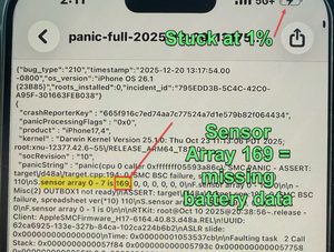 IPhone 16 panic log 169.png