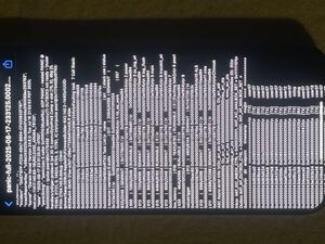 Panic full 14 pro max .jpeg