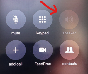 IP7 Grayed Out Speaker Icon.png